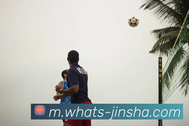 澳门金沙官网平台生态图